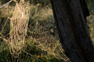 延迟退休实施原则公布!算算你的退休金够养老吗?